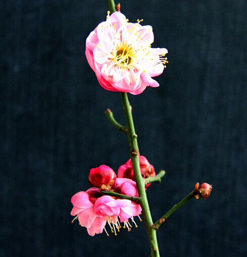 你不知道的12个真实历史内幕