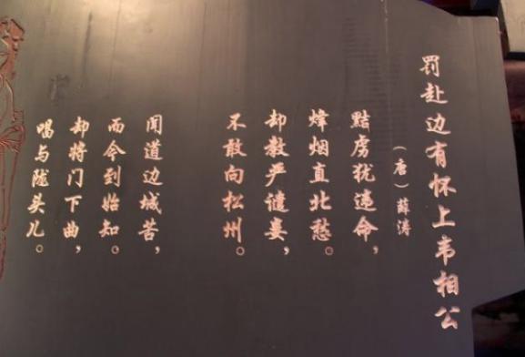 她是唐朝第一才女,因姐弟恋孤独终老