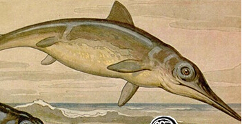 地球上著名的“五次生物大灭绝”事件