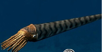 地球上著名的“五次生物大灭绝”事件