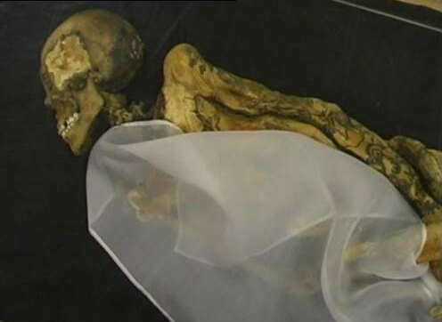 不腐之身 冰少女拥有地球上精致纹身