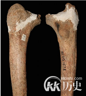 云南惊现历史掩盖的新人种 “马鹿洞人”