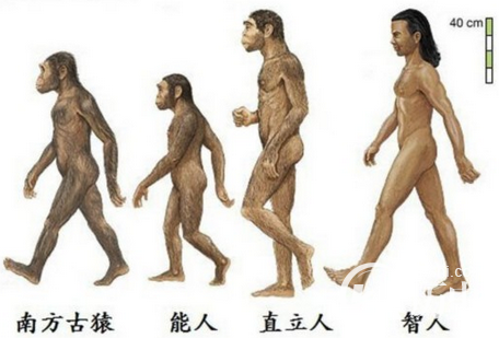 云南惊现历史掩盖的新人种 “马鹿洞人”