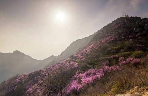 宋代土地制度有哪些特点