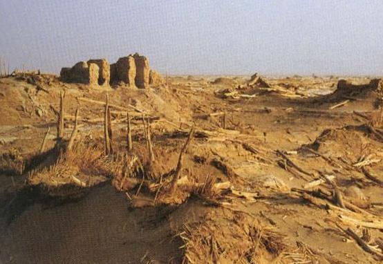 关于精绝国的评价是什么