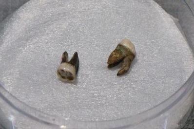 隋炀帝陵墓中陪葬品曝光 全身就只剩下两颗牙齿