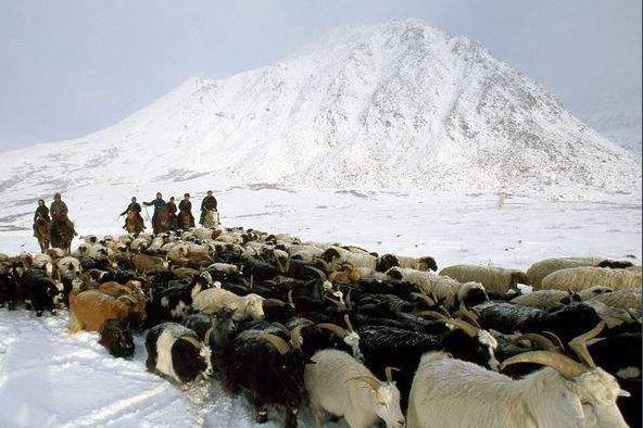 游牧民族：以游牧为主要生活方式的民族