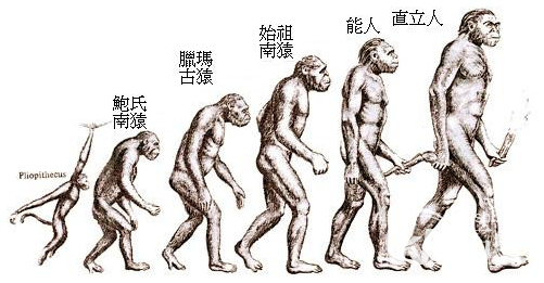 难以置信！吃肉竟然可以提高人类颜值