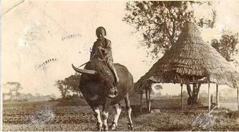 从明星片看中国 一百年前的苦难中国跃然纸上