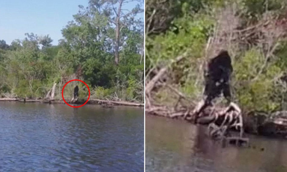 美国男子拍到大脚怪照片