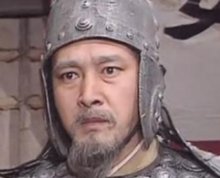 三国时期蜀汉灭亡与姜维有何关系