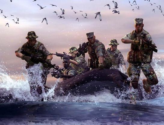 巴西和印度，谁的综合国力更强