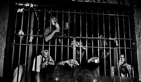 受埃及法老诅咒？十三陵棺材诅咒事件