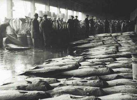 鳕鱼战争简介 鳕鱼战争的过程及结果介绍