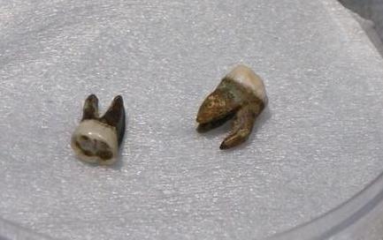 隋炀帝陵位于什么地方 墓中出土了哪些文物