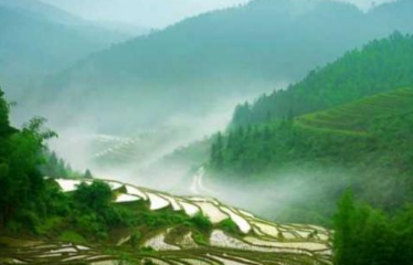 宋朝时期，赣南地区的民风有何特征