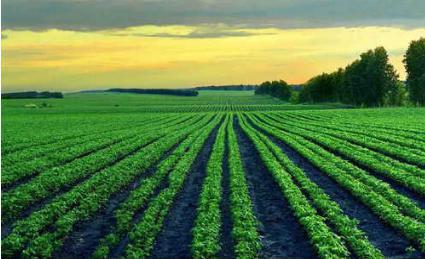 闯关东时期为何山东人不选择去富裕的南方 而偏偏选择严寒的东三省呢