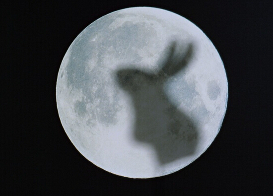 关于玉兔望月的神话故事