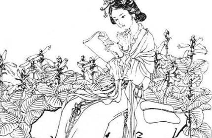 后蜀后主孟昶的贵妃&mdash;&mdash;费花蕊简介