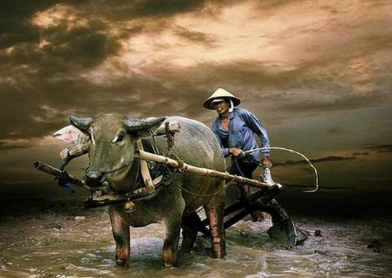 汉初时期为何能出现文景之治