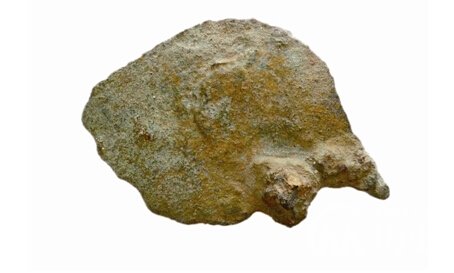 西周的货币有啥特点？解析西周的货币