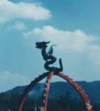 1878年浙江真龙现身，曾出现一条白龙