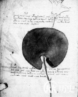 史上最神秘的10本书