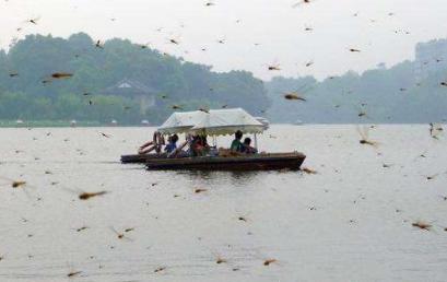 唐山大地震有什么样的前兆 如果有人联想到伤亡就不会这么大了