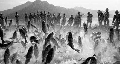 唐山大地震有什么样的前兆 如果有人联想到伤亡就不会这么大了