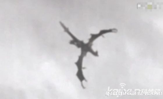 英国智利上空分别发现飞龙