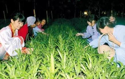 盘点古代中秋习俗 民间传说睡得越晚越长寿