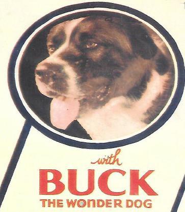 美国作家杰克·伦敦个人哲学观的一个反映:荒野的呼唤