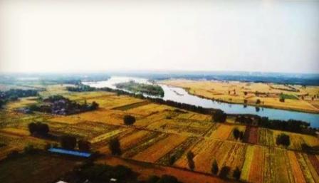 隋朝的回洛仓的技术到底有多厉害 为何会引发各路人马争夺呢