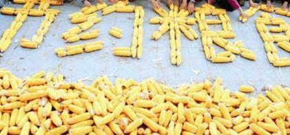 隋朝的回洛仓的技术到底有多厉害 为何会引发各路人马争夺呢