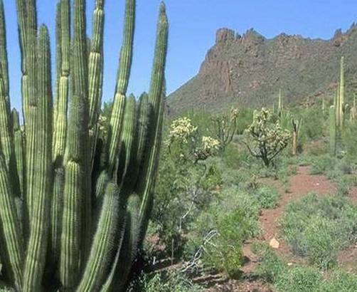 东非大裂谷位于非洲的什么地方 周围附近的环境是什么样的