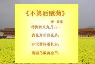 唐朝的科举制度是什么样的 和明清的科举一样吗