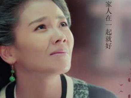 历史上的张春华到底是什么样 没有她历史就会大变样