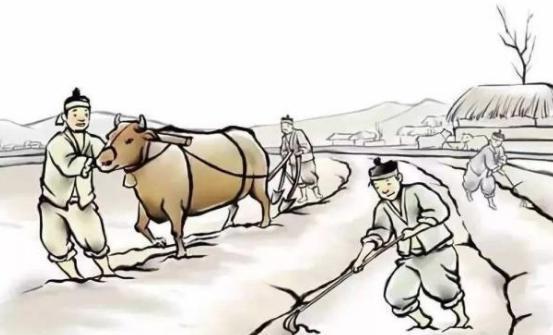 成汭出身食人军，在乱世中开辟一片世外桃源