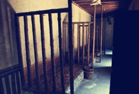 大理寺和少林寺都是和尚住的地方吗 两者之间的区别有多大