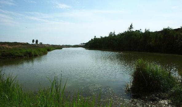 简史:宗周形成的历史