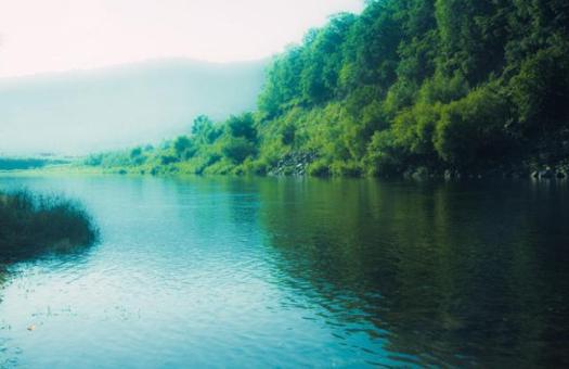 北魏人才济济!成淹、李彪舌战齐使为国争光!