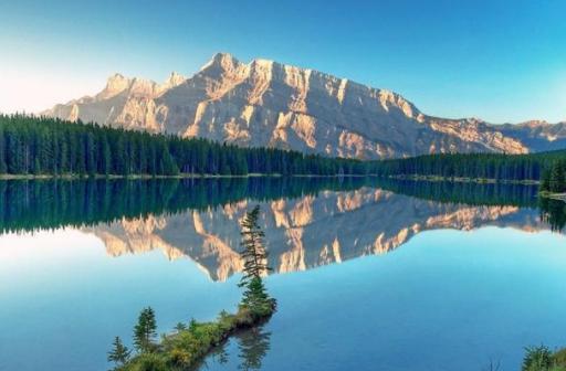 北魏人才济济!成淹、李彪舌战齐使为国争光!