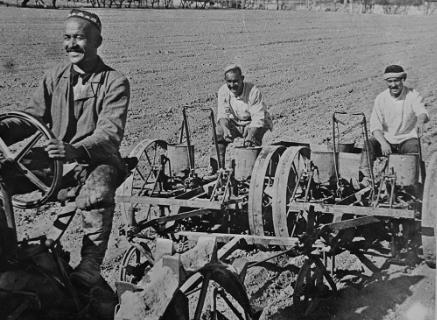 社会主义又分为哪些流派