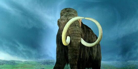 远古最恐怖动物有那些 盘点最恐怖的10大史前动物