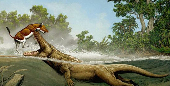 远古最恐怖动物有那些 盘点最恐怖的10大史前动物