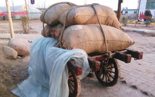 隋朝给唐朝留了50年存粮是真的吗