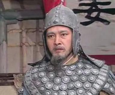 诸葛亮继承人的姜维，为何说他是蜀国最后的守护神