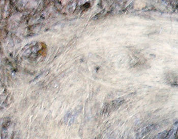 震惊!千年古墓竟挖掘出一活体女尸 几小时后去世