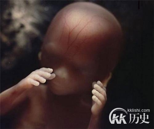 生命孕育全过程图解:揭秘女人身体里神奇的照片