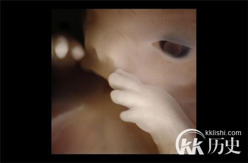 生命孕育全过程图解:揭秘女人身体里神奇的照片